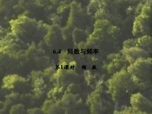 浙教版 七年级下册课件;6.4 第1课时 频数(共8张PPT)