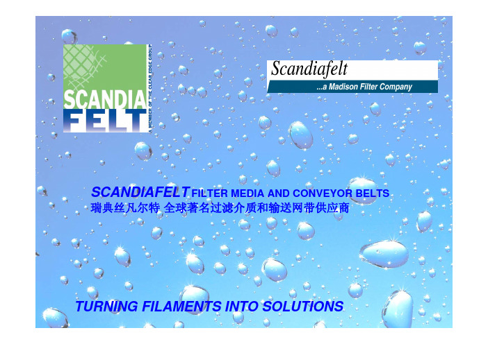 SCANDIAFELT工厂介绍