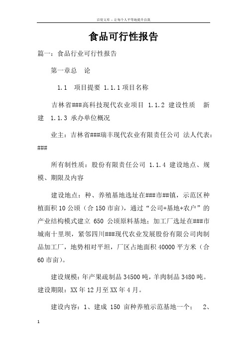 食品可行性报告