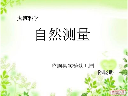 大班科学：自然测量