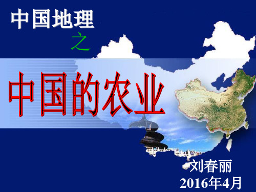 中国的农业公开课剖析