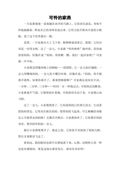 可怜的家燕