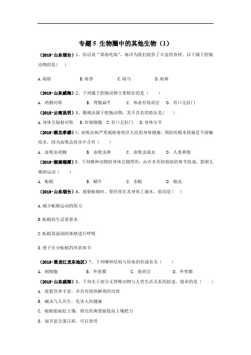2019年中考生物真题专项汇编：专题5 生物圈中的其他生物(1)