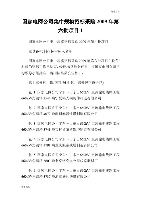 国家电网公司集中规模招标采购2009年第六批项目.doc