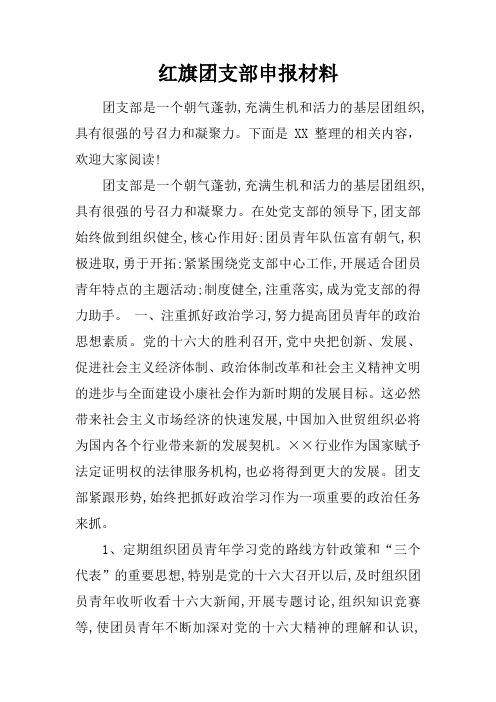 红旗团支部申报材料