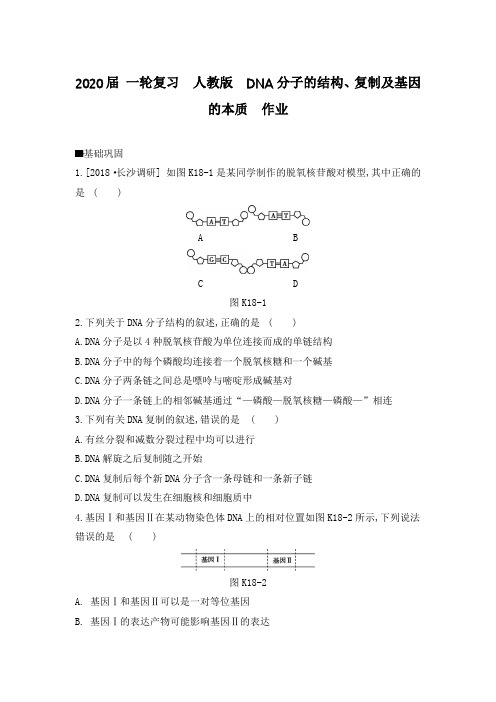 2020年高考 一轮复习  人教版  DNA分子的结构、复制及基因的本质  作业.doc