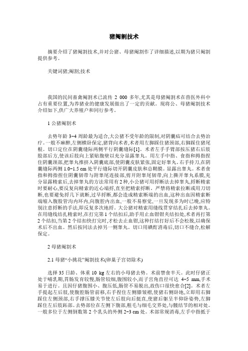 猪阉割技术