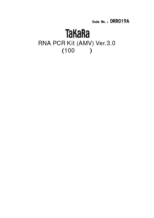 Takara RT-PCR Kit