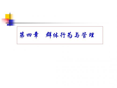 第四章群体行为与管理