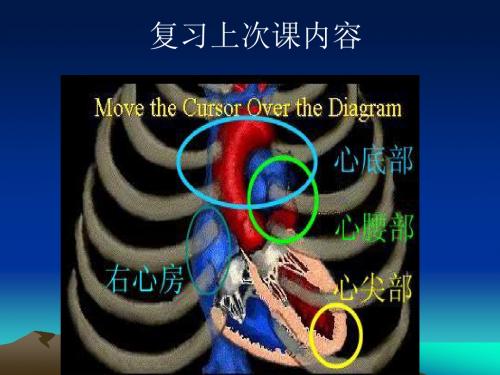 心脏检查2-心脏听诊(5学时).