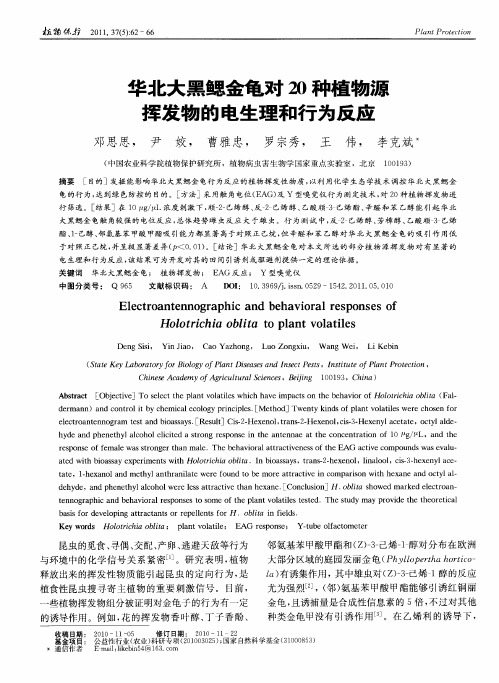 华北大黑鳃金龟对20种植物源挥发物的电生理和行为反应