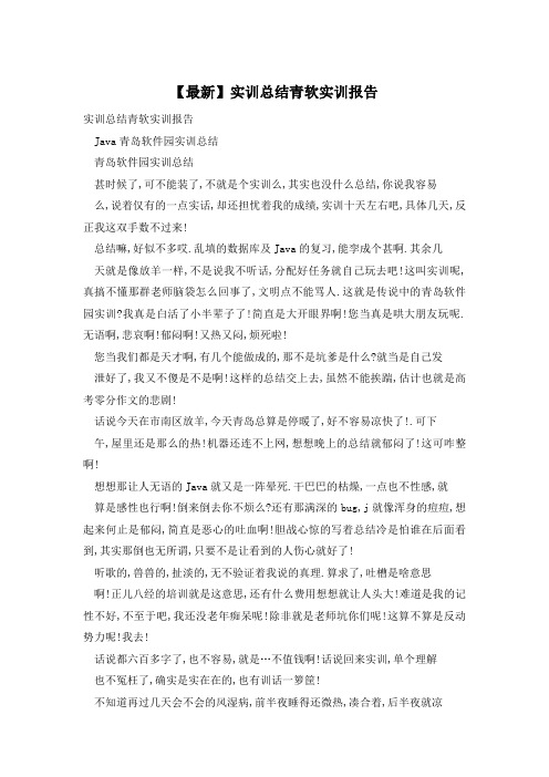 实训总结青软实训报告