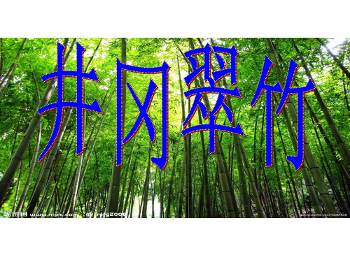 六年级下册语文课件-课文5 井冈翠竹｜鄂教版 (共30张PPT)