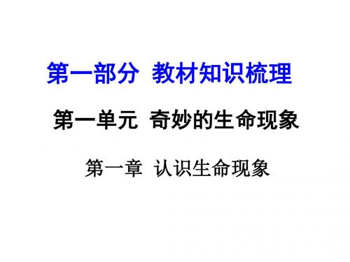 生物七年级上济南版第一单元第一章认识生命现象复习课件(48张)