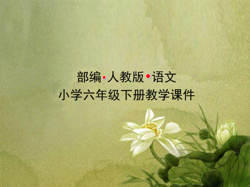 部编人教版小学语文六年级下册课件第16课 表里的生物-第二课时