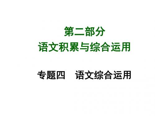中考语文总复习课件第二部分语文积累与综合运用专题四语文综合运用