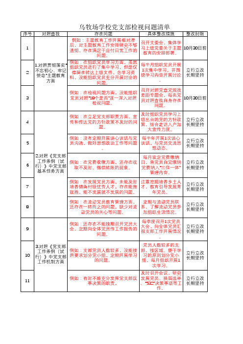 党支部检视问题清单