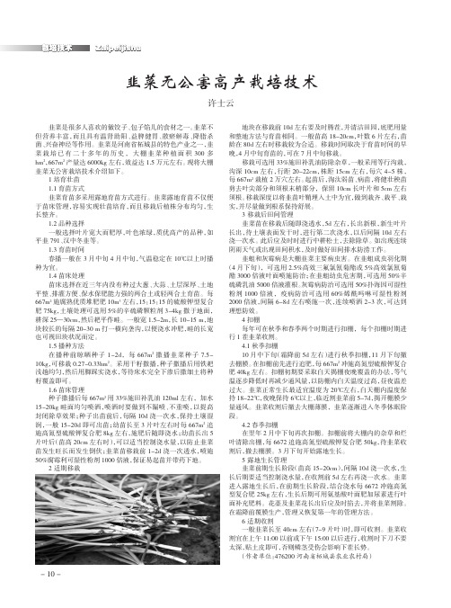 韭菜无公害高产栽培技术