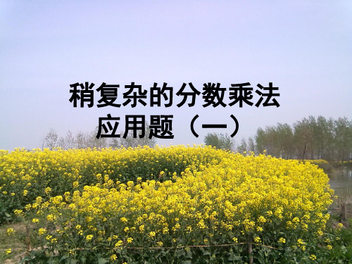 (六上)数学PPT课件-5.4 稍复杂的分数乘法应用题丨苏教版 (16张)