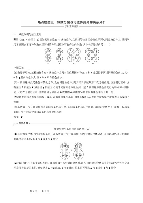 高中生物复习：热点题型3 减数分裂与可遗传变异的关系分析