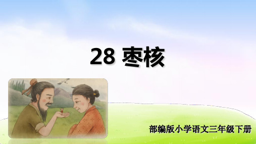 部编版三年级语文下册(精品·课堂教学课件)28 枣核.ppt