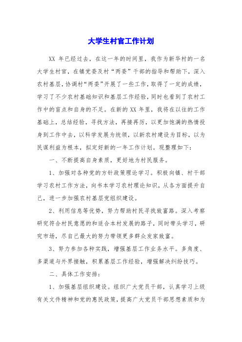 大学生村官工作计划
