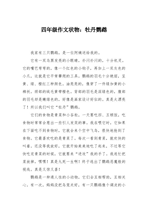 四年级作文状物：牡丹鹦鹉