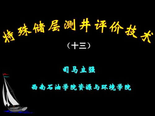 特殊储层测井解释13-储层定量评价