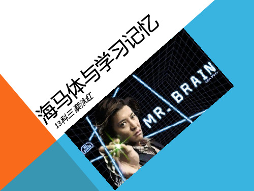 海马体与学习记忆共18页.ppt