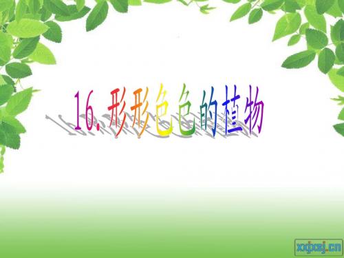 16形形色色的植物