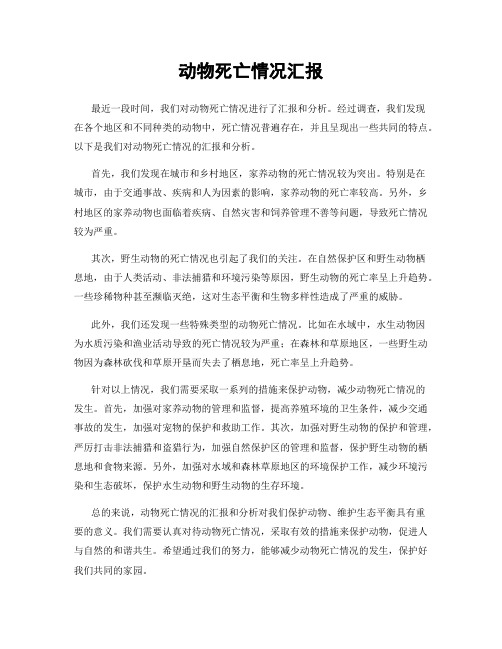 动物死亡情况汇报