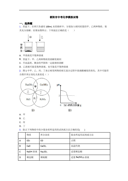 朝阳市中考化学模拟试卷