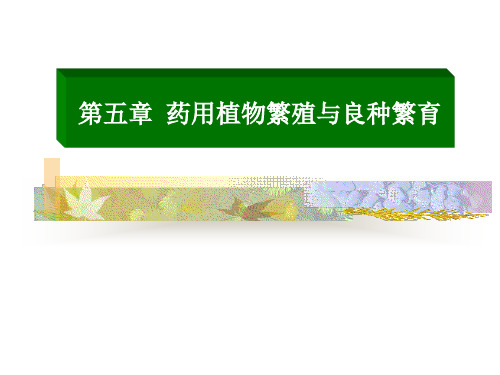 良种选育课件
