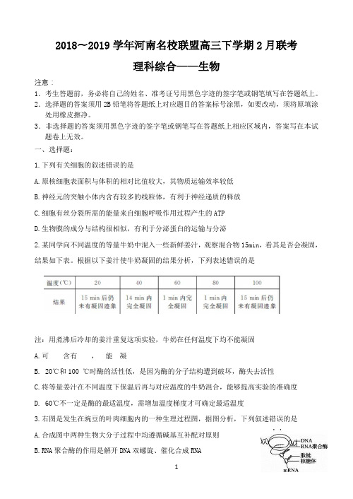 河南省联盟2018-2019学年高三下学期2月联考试题 理科综合