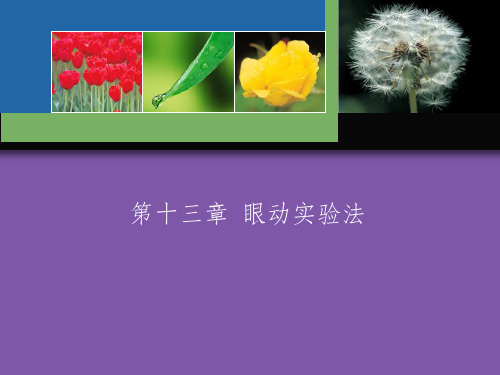 实验心理学眼动实验法课件