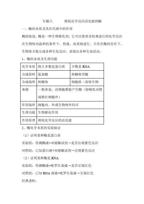 专题六 酶