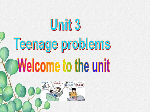 公开课获奖《Unit3 Teenage problems 》课件(公开课) 