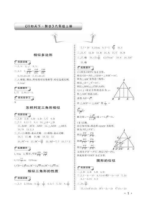 九年级数学行知天下答案