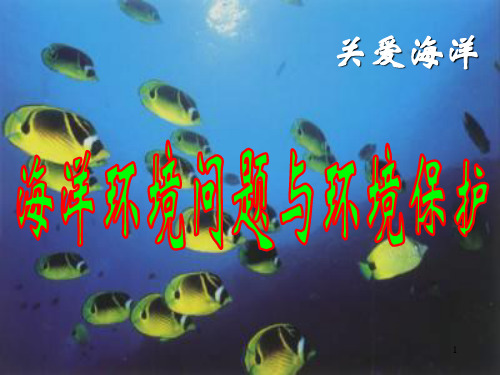 人教版高二地理选修2 第二节 海洋环境问题与环境保护(共28张PPT)