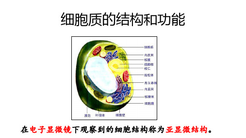 细胞质的结构和功能课件-江苏省白塔高级中学高三生物一轮复习