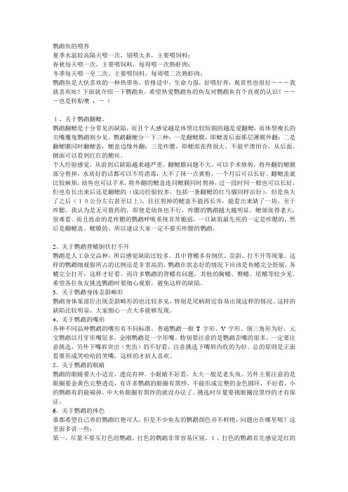 鹦鹉鱼的喂养