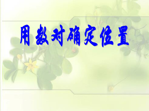 六年级数学下册课件-二 在方格纸上用数对表示位置（8）-冀教版