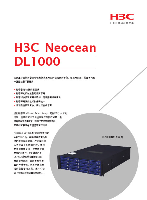 H3C Neocean DL1000 说明书