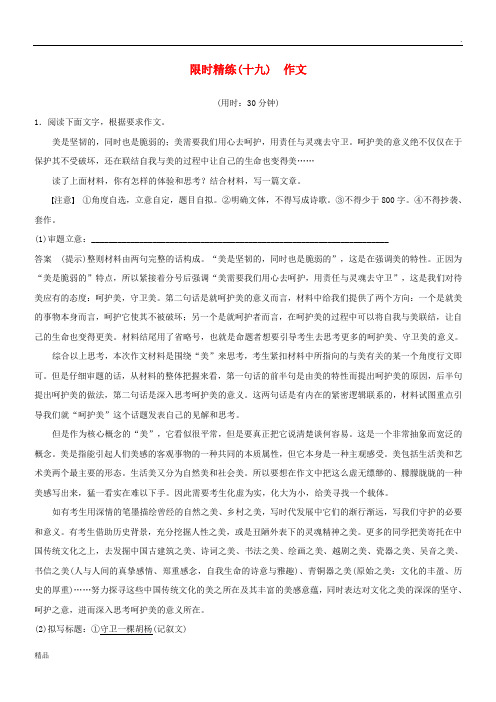 (浙江专用)2019高考语文二轮复习 精准提分练 第五章 专项限时精练(十九)作文