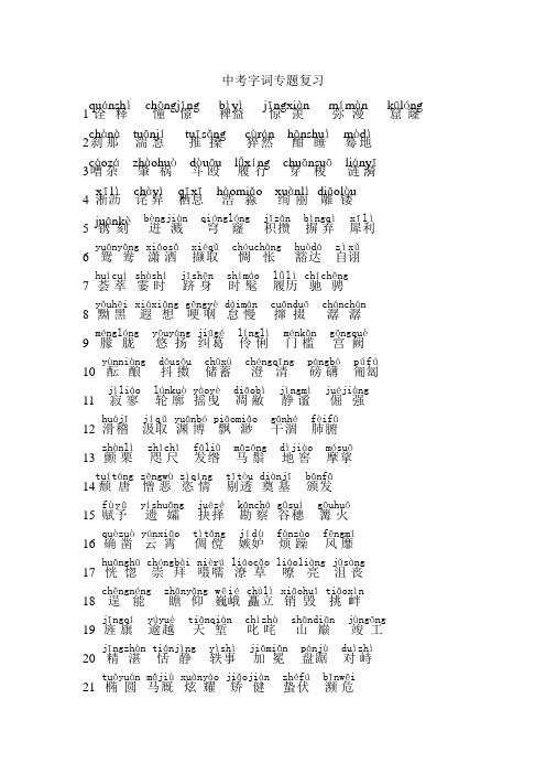 中考字词复习