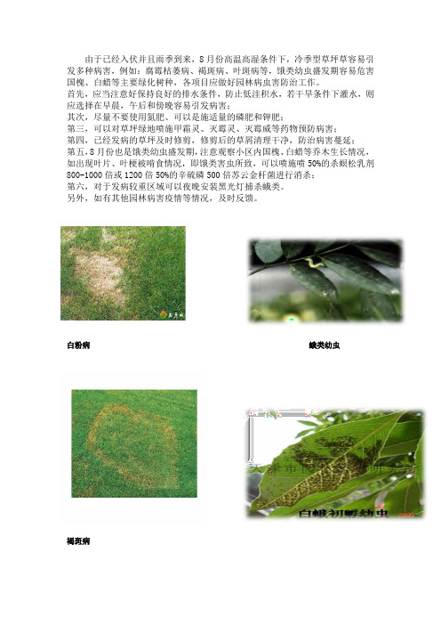 八月份环绿养护