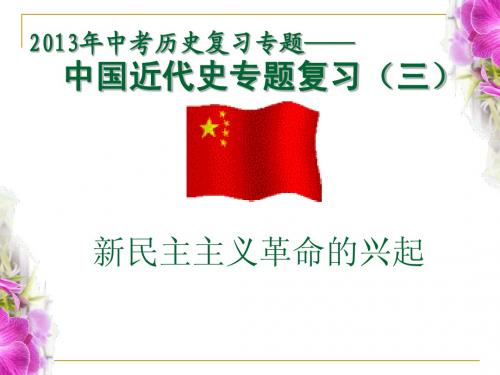2013年中考历史专题复习