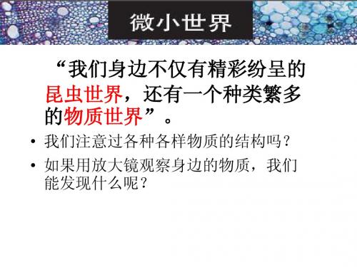 教科版六下科学1.3《放大镜下的晶体》
