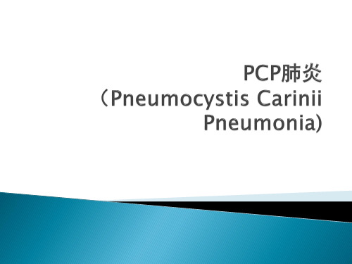 PCP肺炎