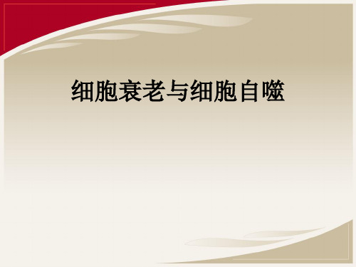 细胞衰老与细胞自噬